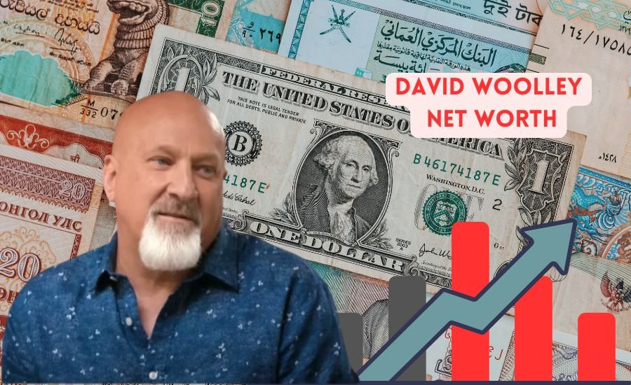david woolley net worth