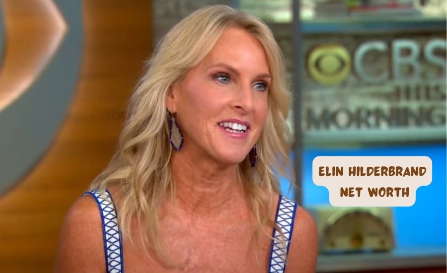 elin hilderbrand net worth