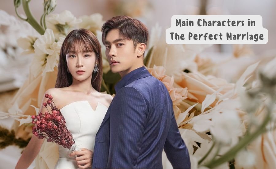 the perfect marriage book summary