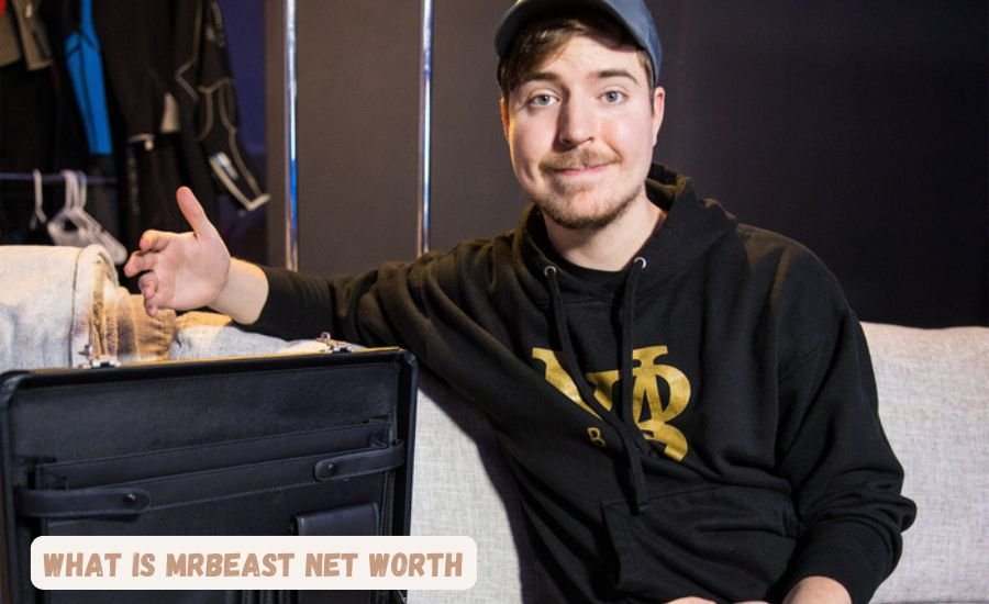 what is mrbeast net worth