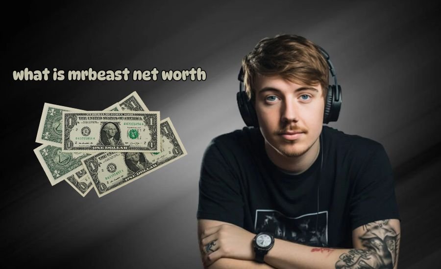 what is mrbeast net worth
